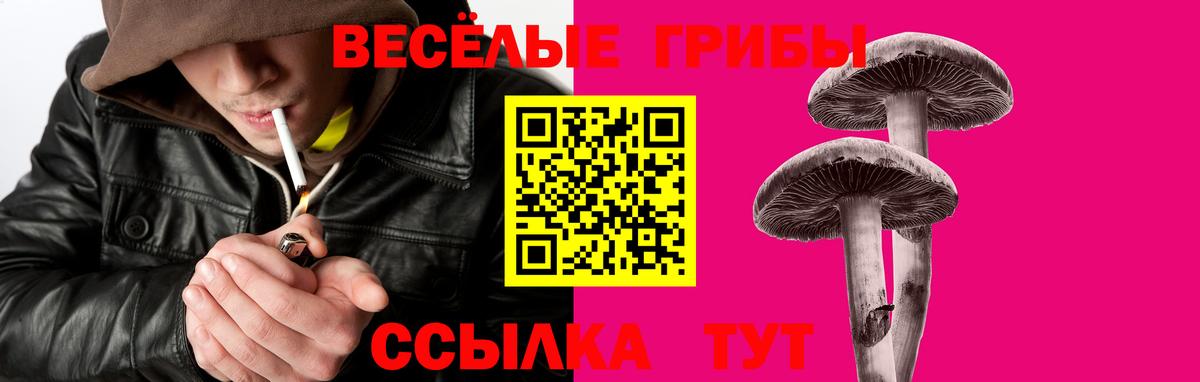 Псилоцибиновые грибы Magic Shrooms  купить наркоту  Королёв  Вход с VPN 